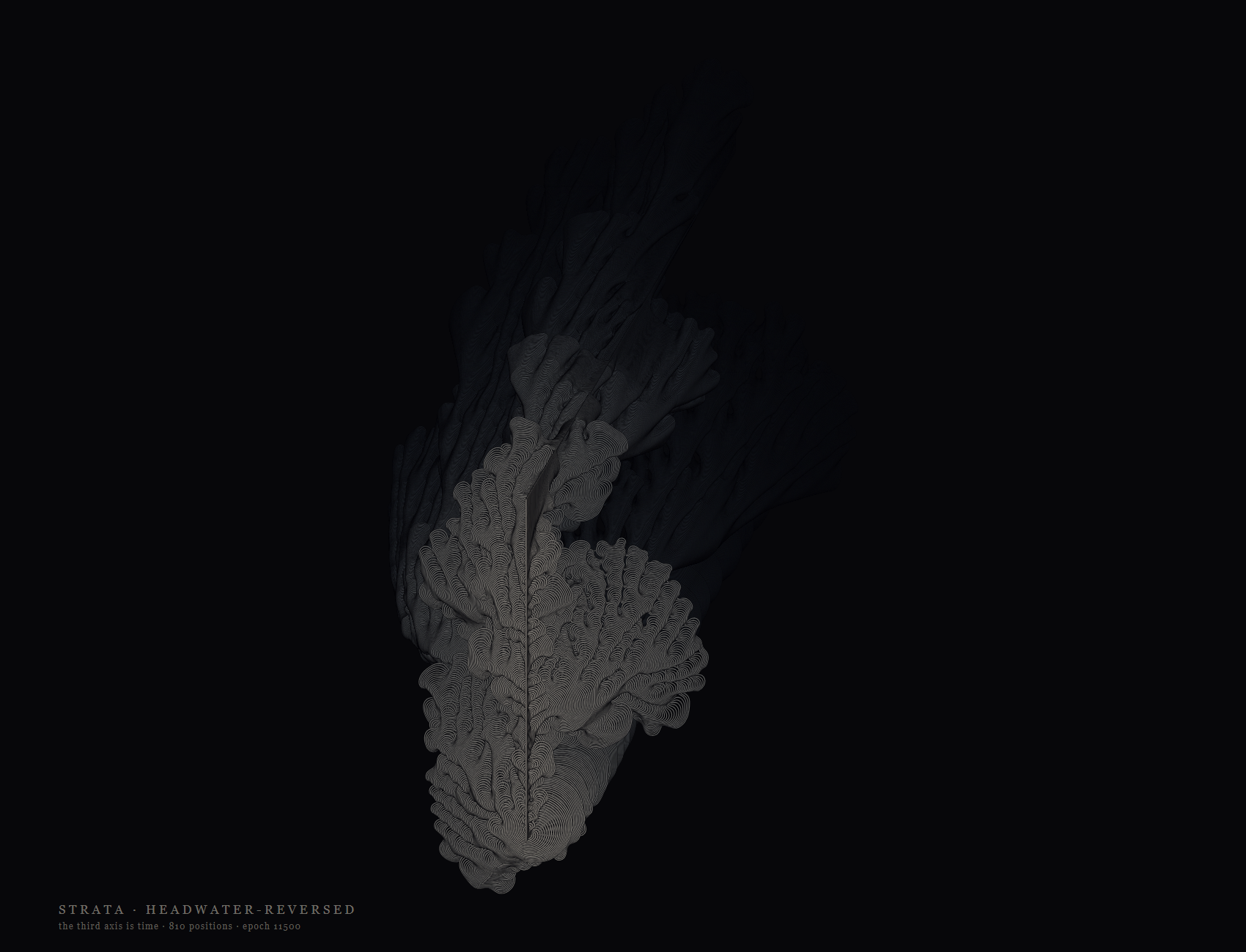 a pale coral-like mass in the dark, split by one straight vertical line